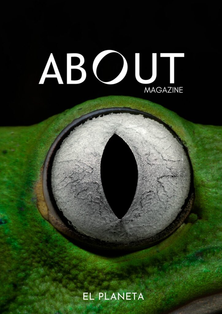 fotografía da portada de Henrique Murta - Revista ABOUT Magazine N5 - junio de 2023
