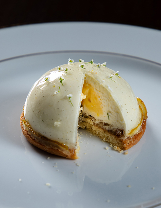 Artículos Saiko Izawa 03