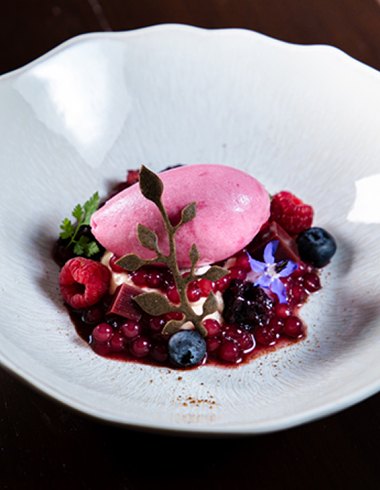 Artículos Saiko Izawa 04