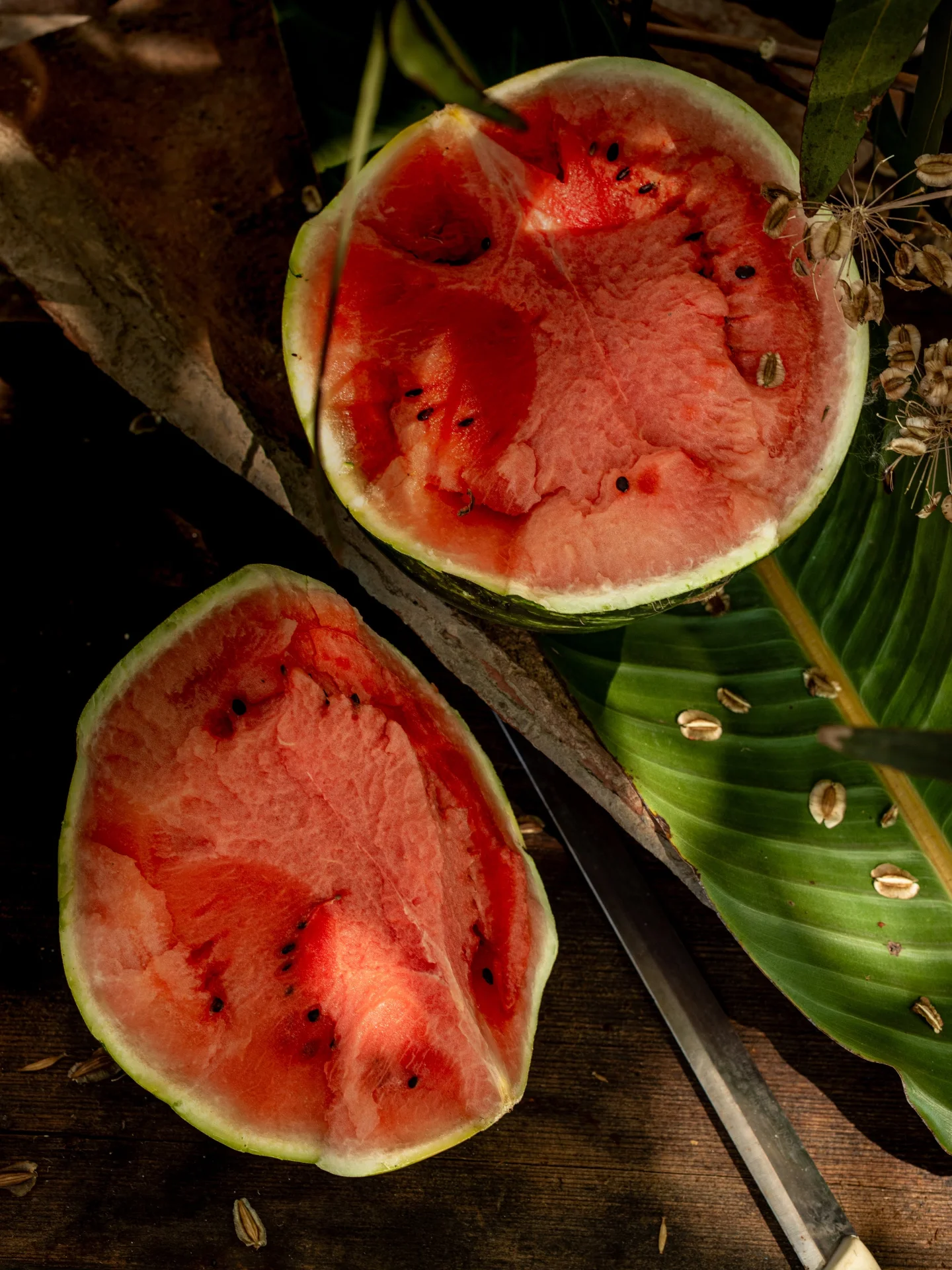 b02429b1f3df9ccd447f32306cfd185e7183f85b